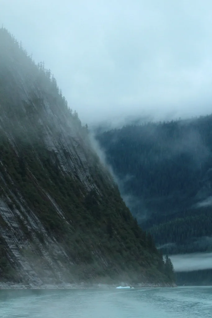 Foggy Coast in Tracy Arm Fjord